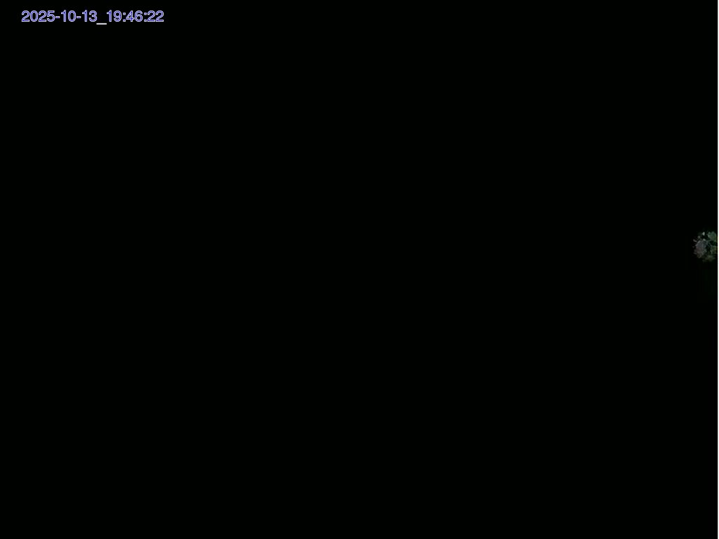 202510140400.jpg