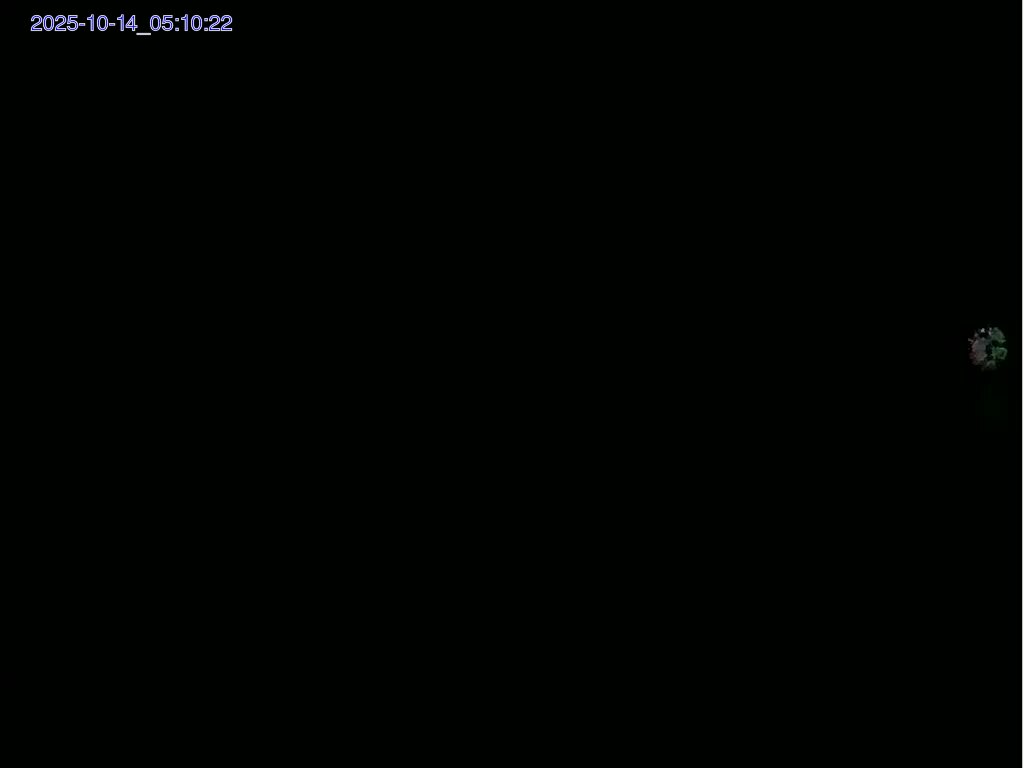 202510140512.jpg